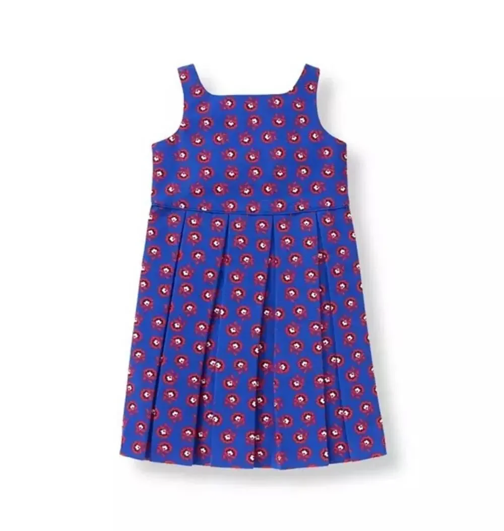 Janie and Jack Girl’s Poppy Print Dress Sz 3 Blue